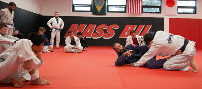 Brazilian Jiu-Jitsu - Arlington, MA Physical Therapy - Peak Performance ...